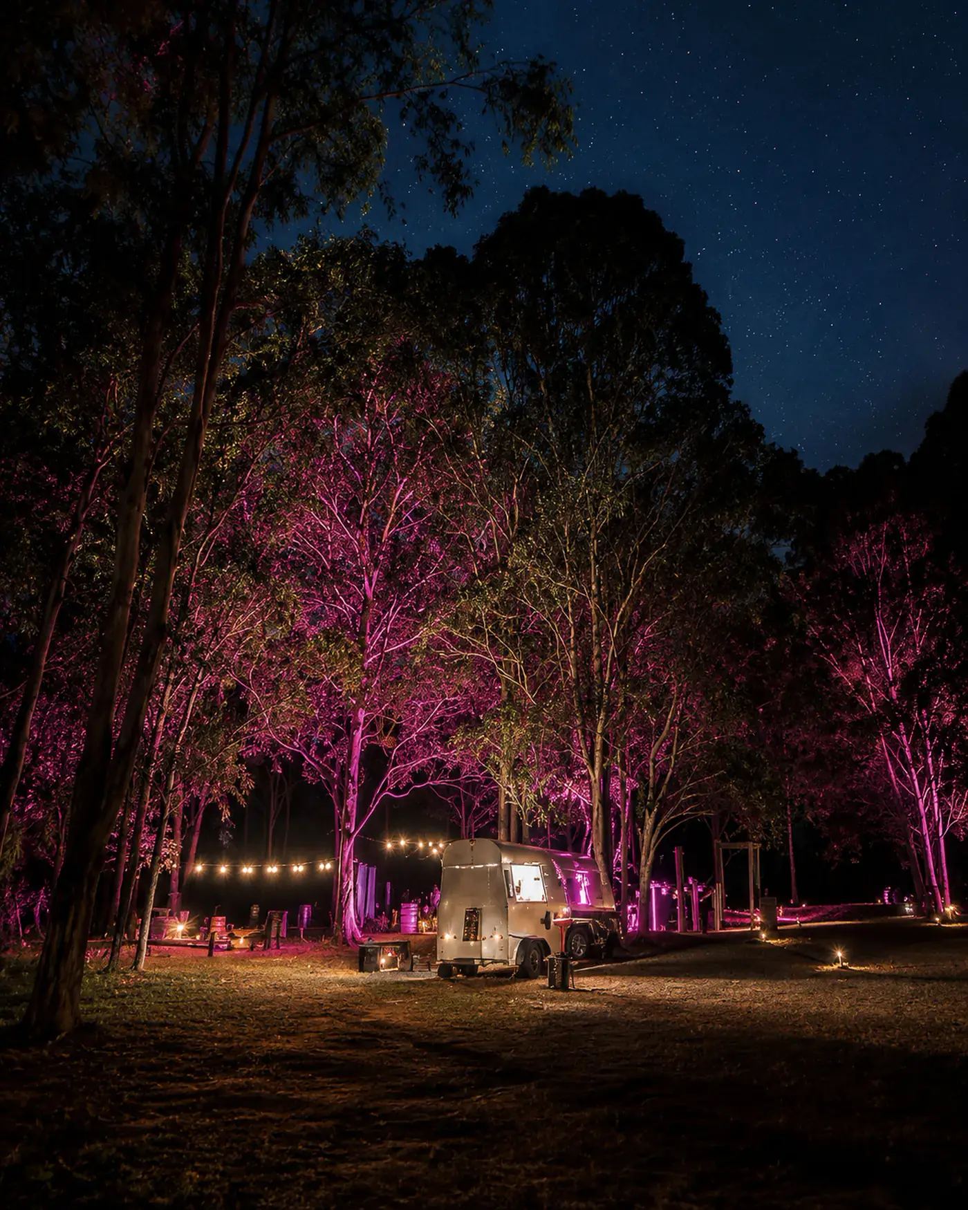 Eucalypts lit in pink against a star-filled night sky above the festoon-lit gathering area at Adeline Estate