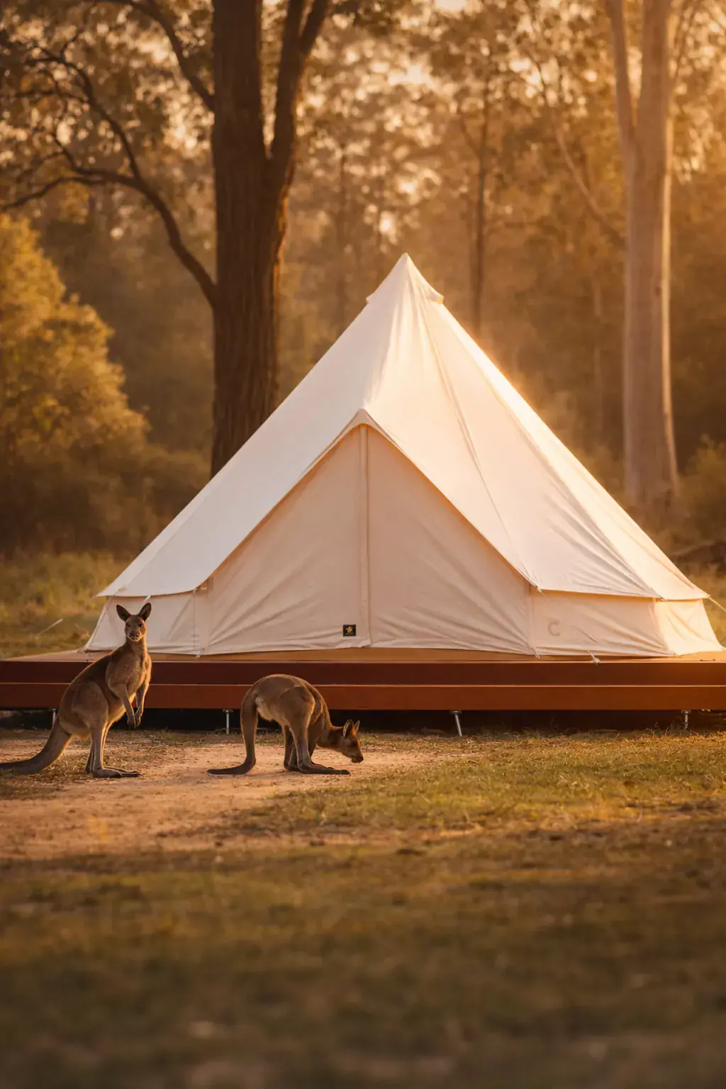 Adeline Estate glamping village with bell tents and kangaroos among mature trees