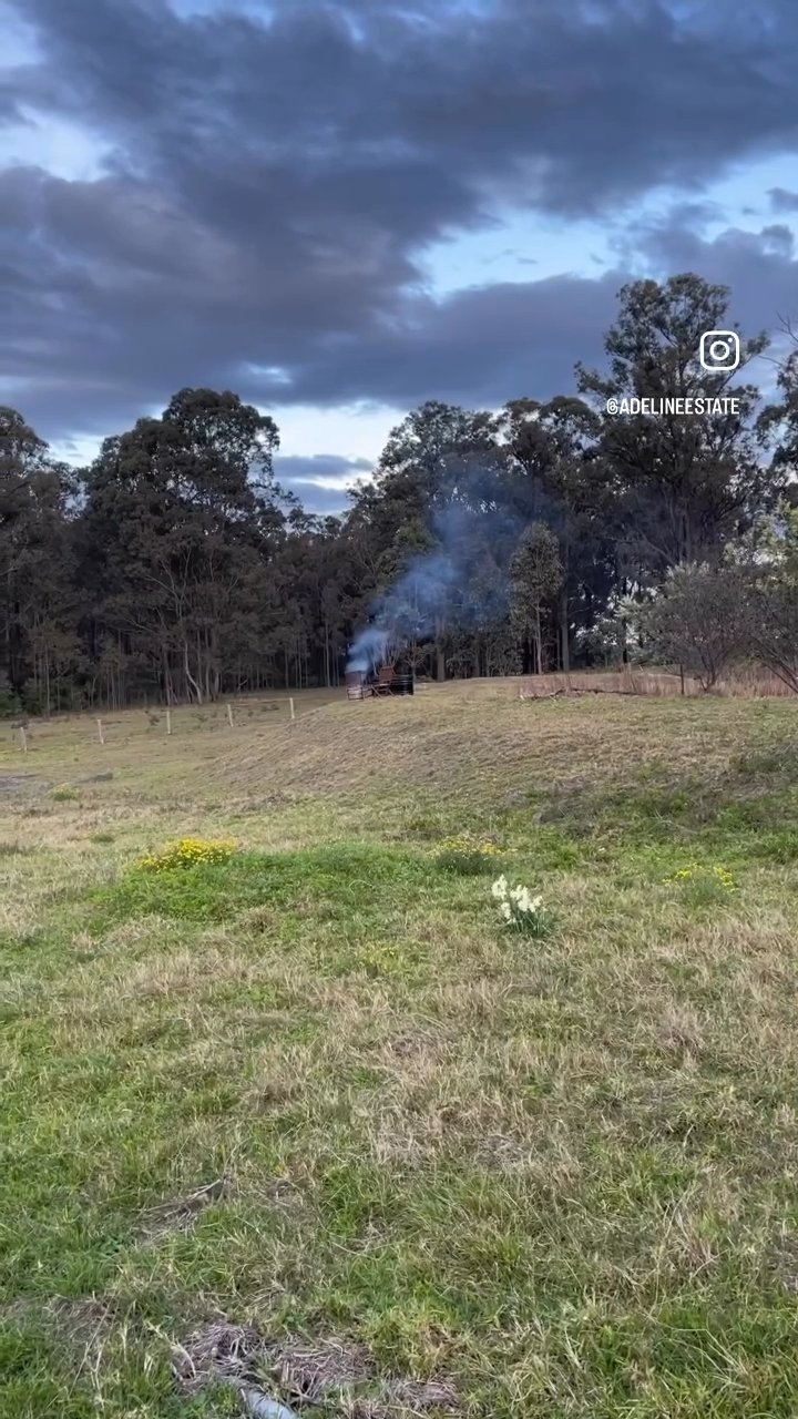 The fire pit burning in the paddock at dusk