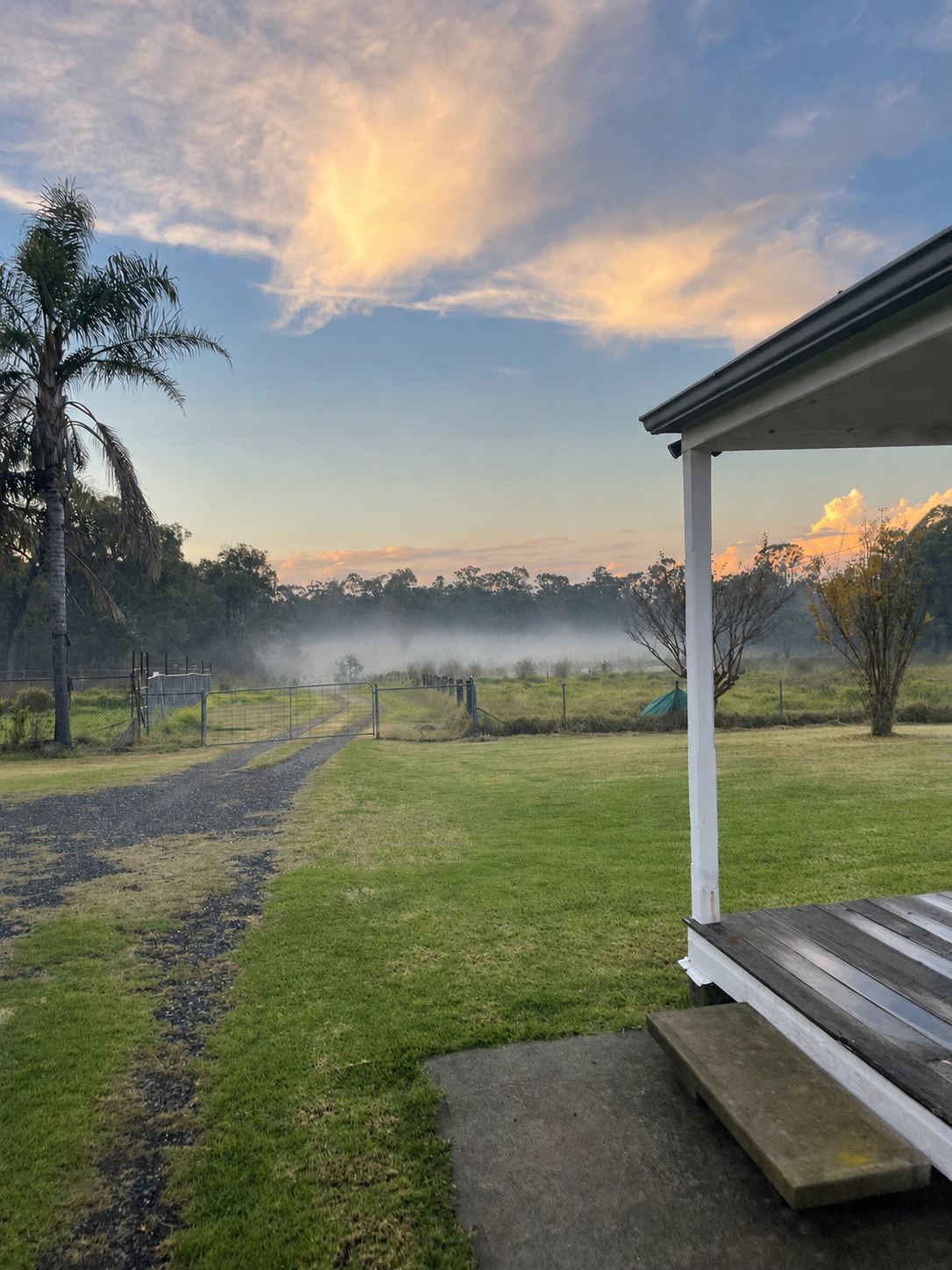 Mist over the paddock at sunrise