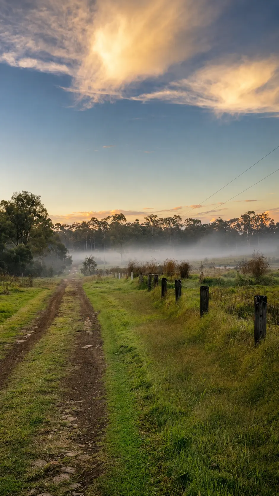 Farm track running between fence lines with morning mist settling over the paddocks at sunrise at Adeline Estate